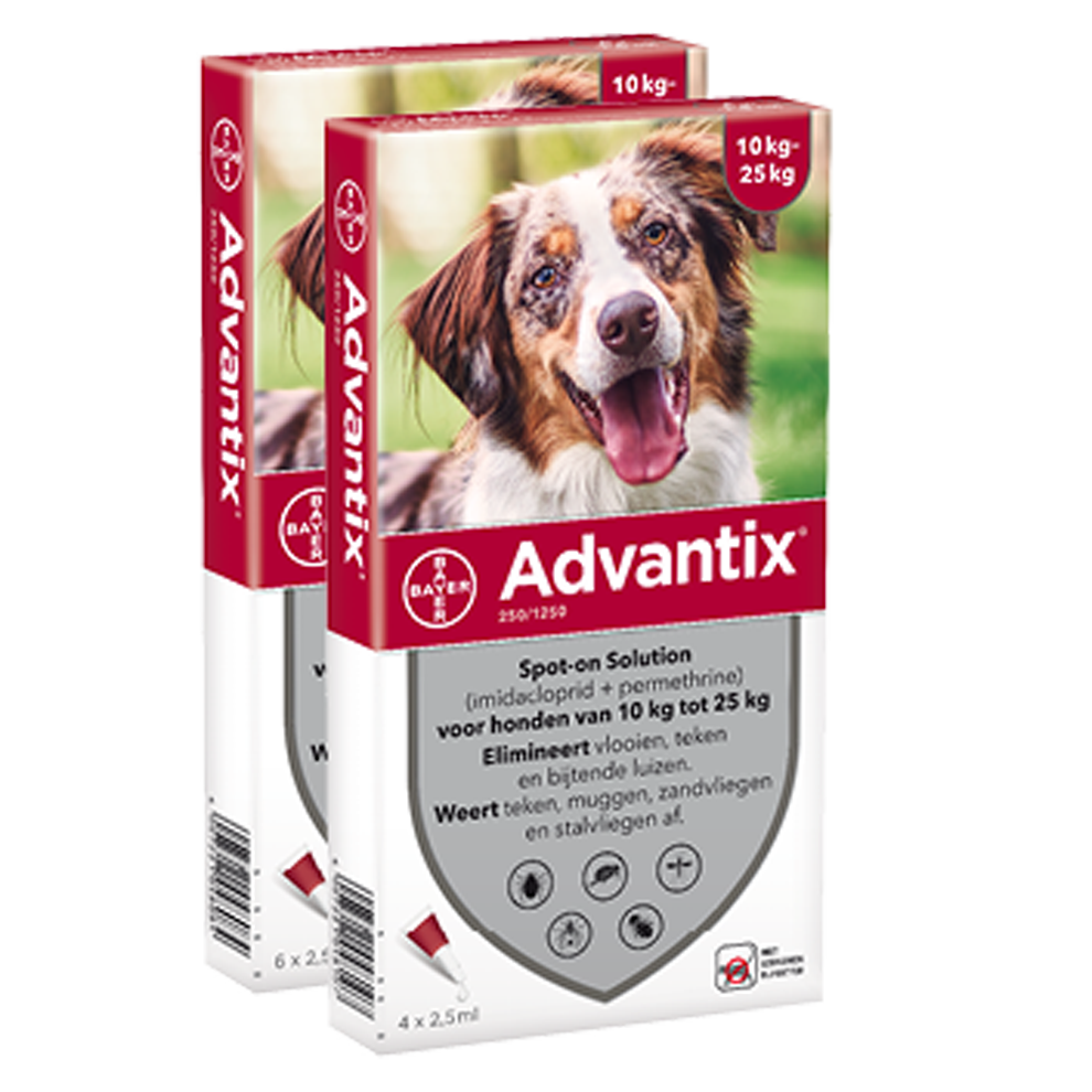 De schuld geven Zuivelproducten Onenigheid Advantix 250 hond (10 - 25 kg) - 6 pip - Vet Animal Care